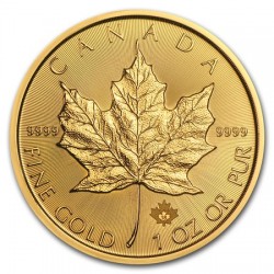 [Solo Santiago] [AU] Canadian Gold Maple Leaf 2023 (1 oz)