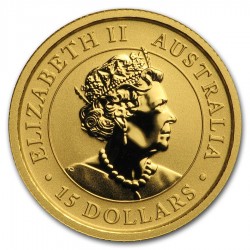 Australian Kangaroos 2020 (1/10oz) + Cápsula