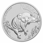 Australian Koala 2022 (1oz) + Cápsula