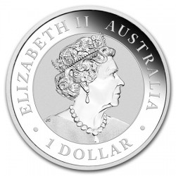 Australian Koala 2020 (1oz) + Cápsula