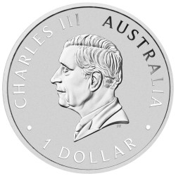 Australian Kookaburra 2026 (1oz) + Cap.