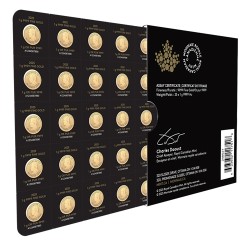 Canadian Gold Maple Leaf 2025 (1g)