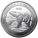 Canadian Polar Bear 2020 (1/2oz)