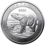 Canadian Polar Bear 2020 (1/2oz)