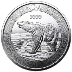 Canadian Polar Bear 2020 (1/2oz)