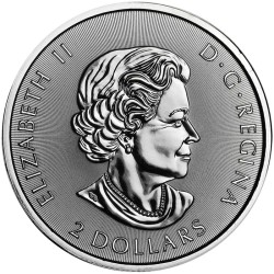 Canadian Polar Bear 2020 (1/2oz)